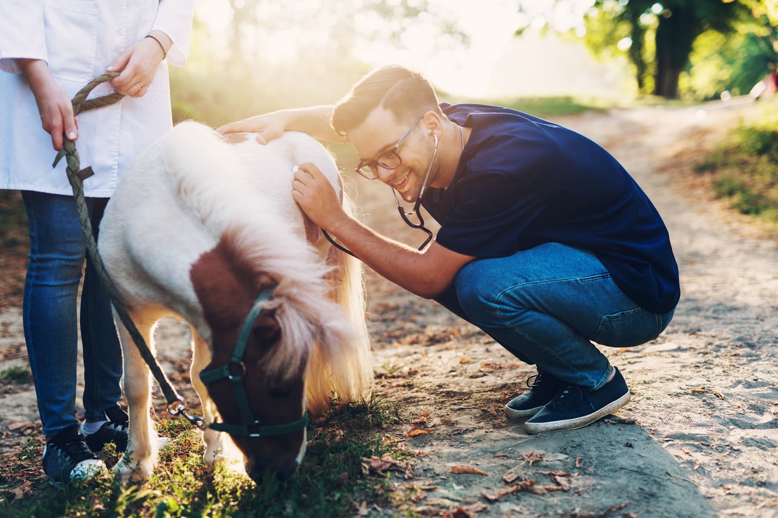 Veterinář vyšetřuje koně