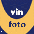 vinfoto