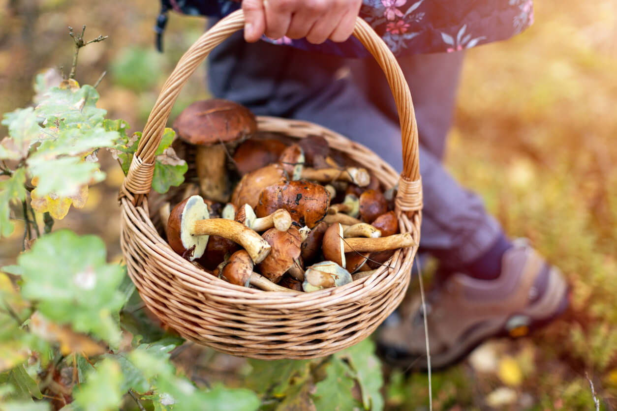 istock 1179187729