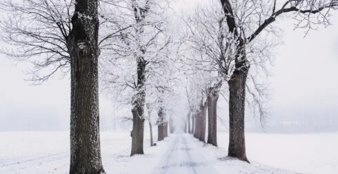 zledovately chodnik | default.project.name