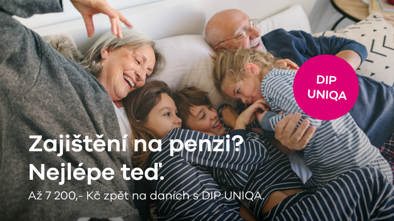 cz dip | default.project.name